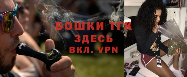 индика Заволжск