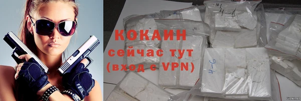 индика Заволжск