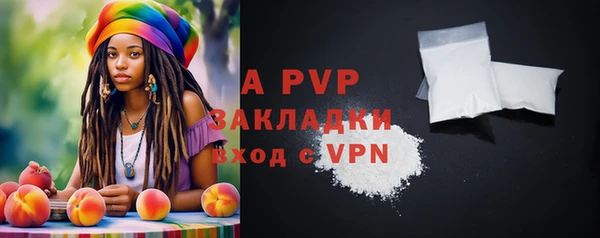 индика Заволжск
