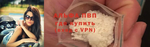 индика Заволжск