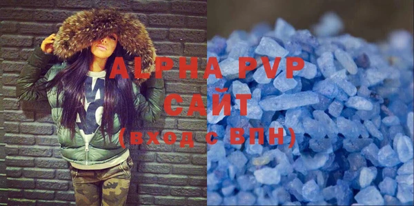 индика Заволжск