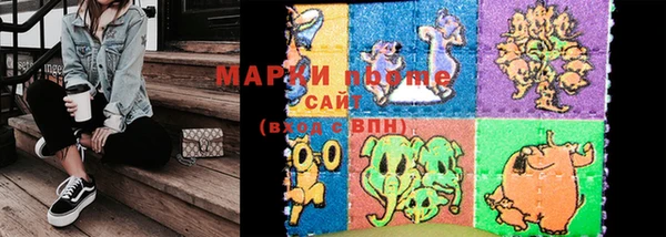 индика Заволжск