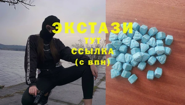 индика Заволжск