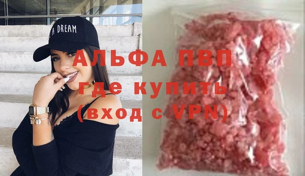 индика Заволжск