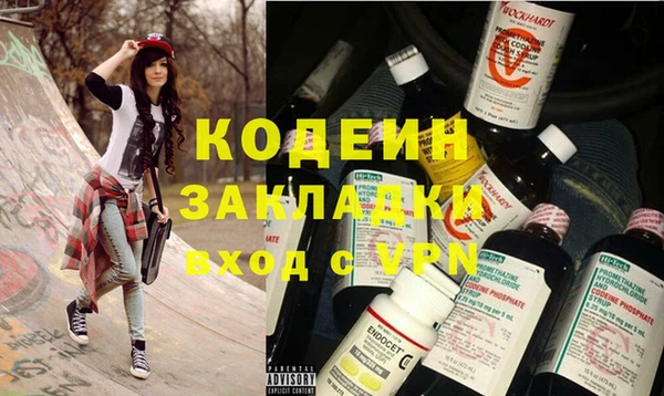 индика Заволжск